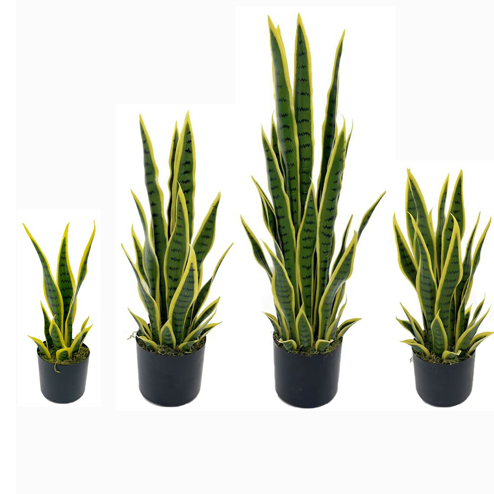Desk Setup Plants - Sztuczna Sansewieria (Wężowa) w czarnym doniczku,