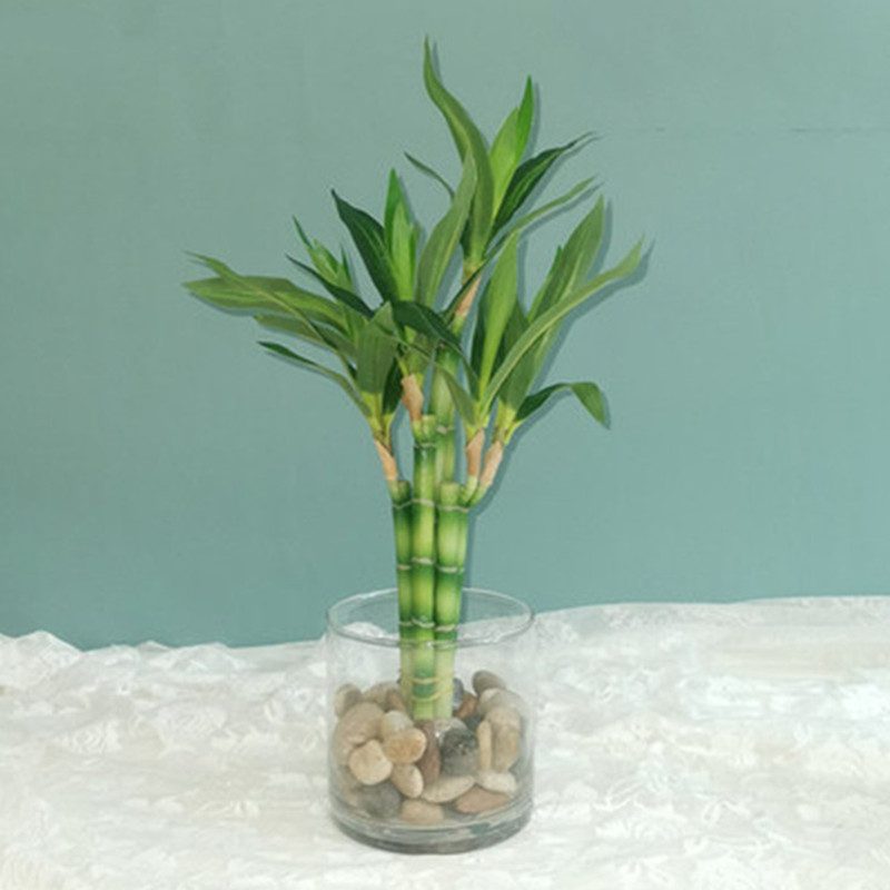 Nowa 40cm sztuczna roślina Luc – Desk Setup Plants recenzja i cena