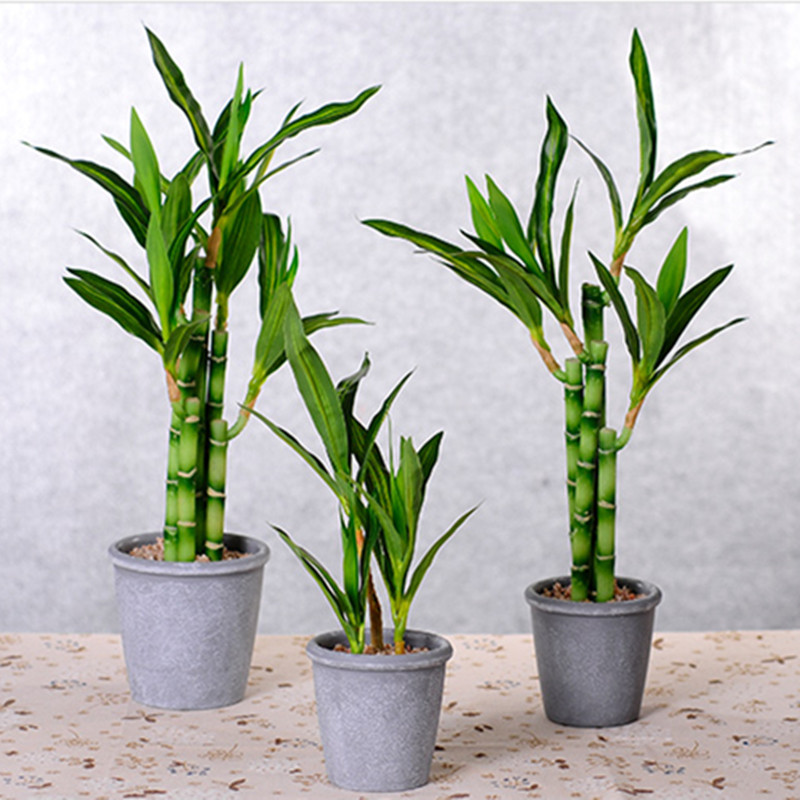 Nowa 40cm sztuczna roślina Luc – Desk Setup Plants recenzja i cena