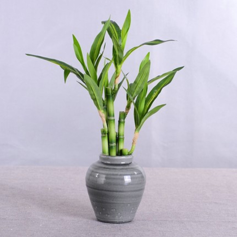 Nowa 40cm sztuczna roślina Luc – Desk Setup Plants recenzja i cena