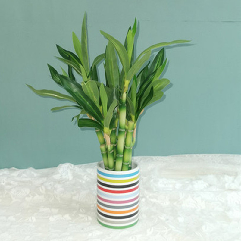 Nowa 40cm sztuczna roślina Luc – Desk Setup Plants recenzja i cena