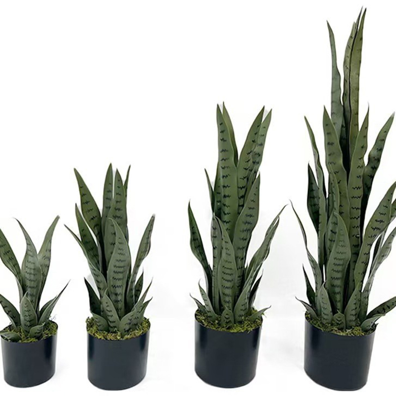 Sztuczna Sansewieria (Wężowa)  – Desk Setup Plants recenzja i cena